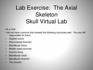 Lab Exercise: The Axial Skeleton Skull Virtual Lab