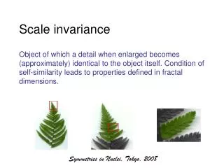 Scale invariance