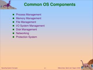 Common OS Components