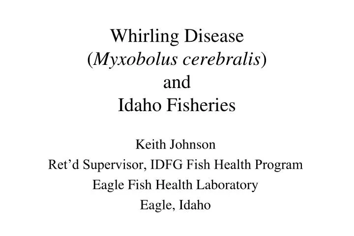 whirling disease myxobolus cerebralis and idaho fisheries