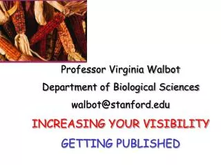 Professor Virginia Walbot Department of Biological Sciences walbot@stanford INCREASING YOUR VISIBILITY GETTING PUBLISH