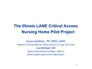 The Illinois LANE Critical Access Nursing Home Pilot Project