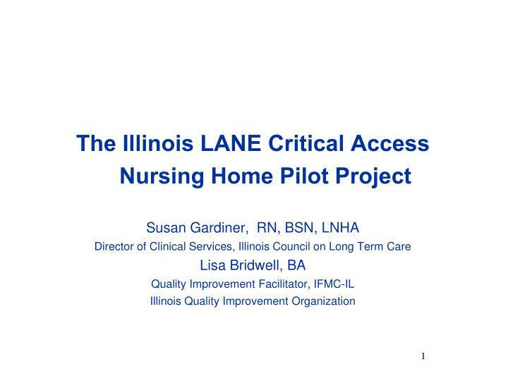 the illinois lane critical access nursing home pilot project