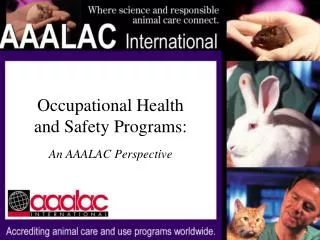 Occupational Health and Safety Programs: An AAALAC Perspective