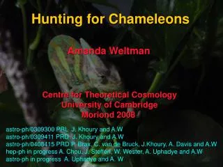 Hunting for Chameleons