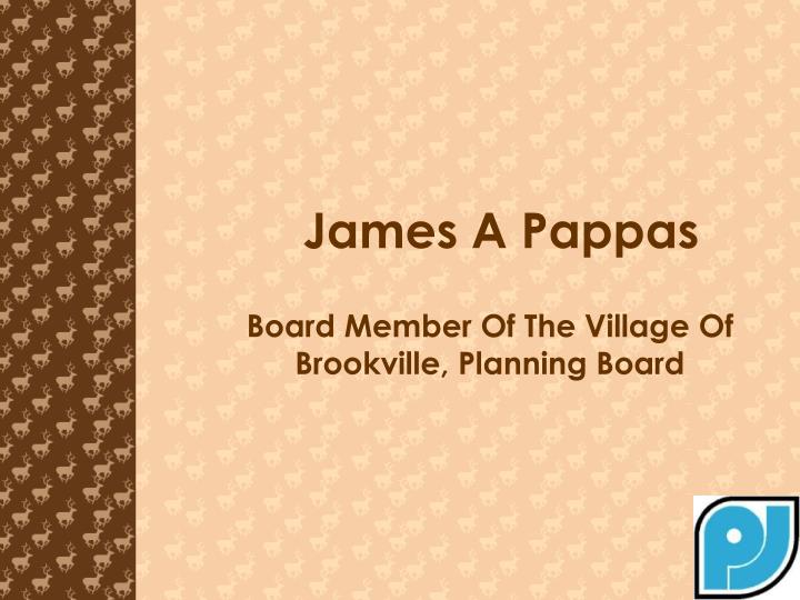 board member of the village of brookville planning board