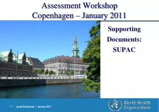 Assessment Workshop Copenhagen – January 2011