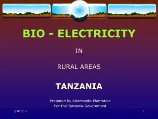 BIO - ELECTRICITY IN RURAL AREAS TANZANIA