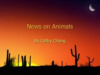 News on Animals