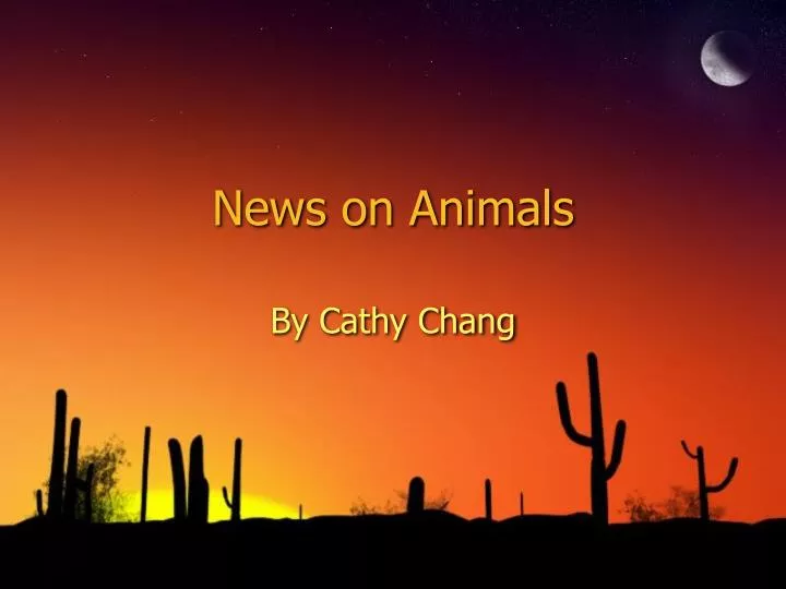news on animals