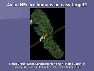 Avian H5: are humans an easy target?