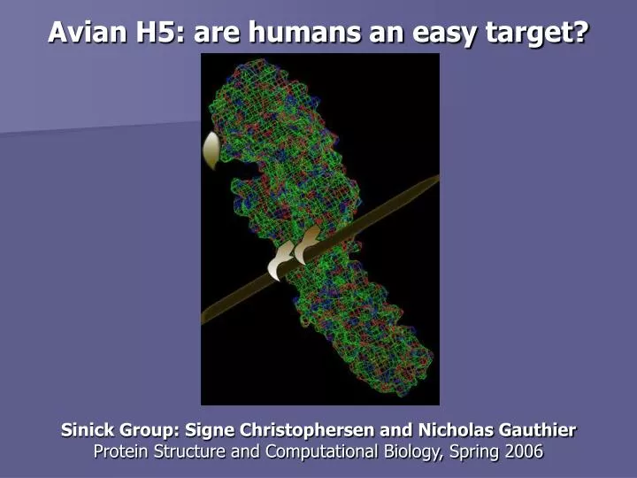 avian h5 are humans an easy target