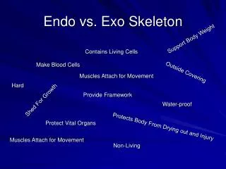 Endo vs. Exo Skeleton