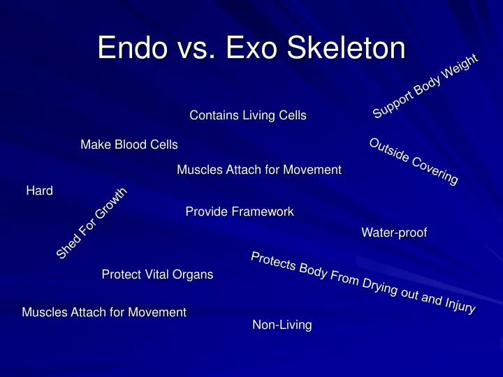 endo vs exo skeleton