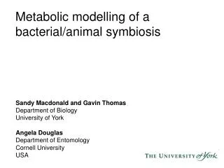 Metabolic modelling of a bacterial/animal symbiosis