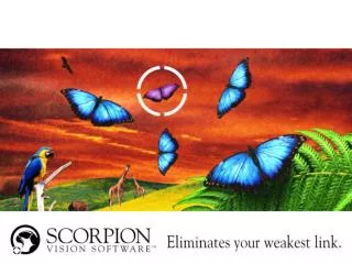 Scorpion Vision Software