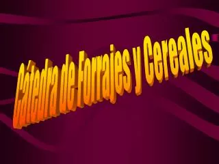 Cátedra de Forrajes y Cereales