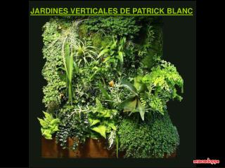 JARDINES VERTICALES DE PATRICK BLANC
