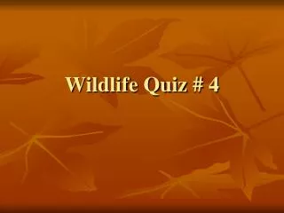 Wildlife Quiz # 4