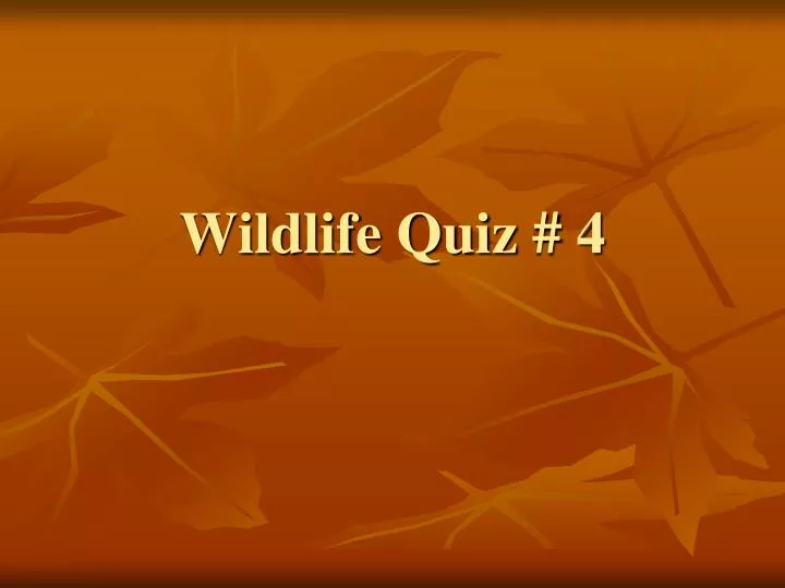 wildlife quiz 4