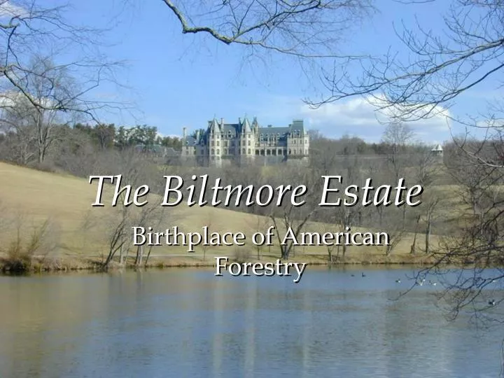 the biltmore estate