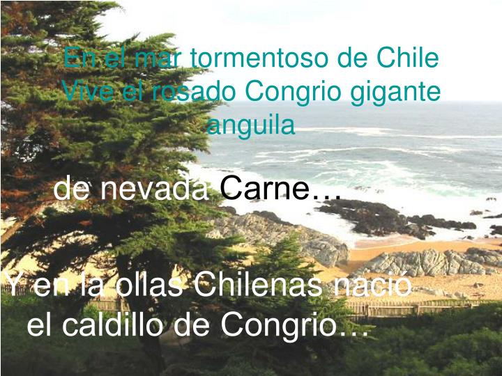 en el mar tormentoso de chile vive el rosado congrio gigante anguila