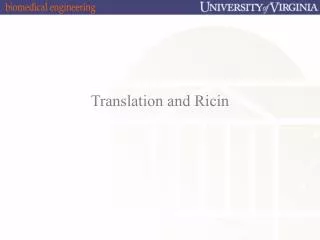 Translation and Ricin