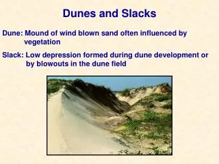 Dunes and Slacks