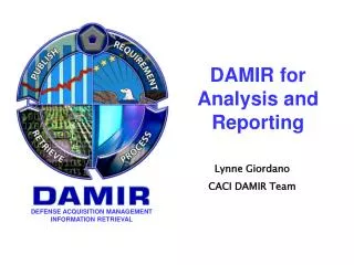 DAMIR for Analysis and Reporting