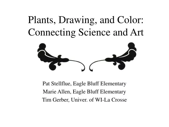 plants drawing and color connecting science and art