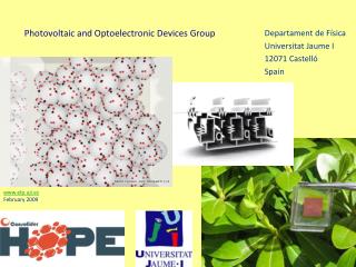 Photovoltaic and Optoelectronic Devices Group