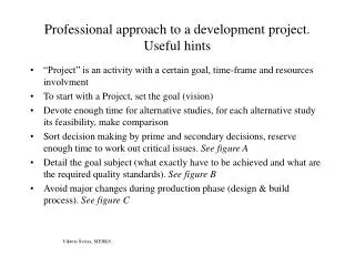 Professional approach to a development project. Useful hints