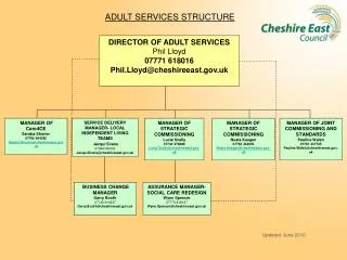 ADULT SERVICES STRUCTURE