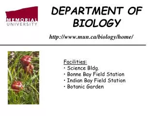 DEPARTMENT OF BIOLOGY