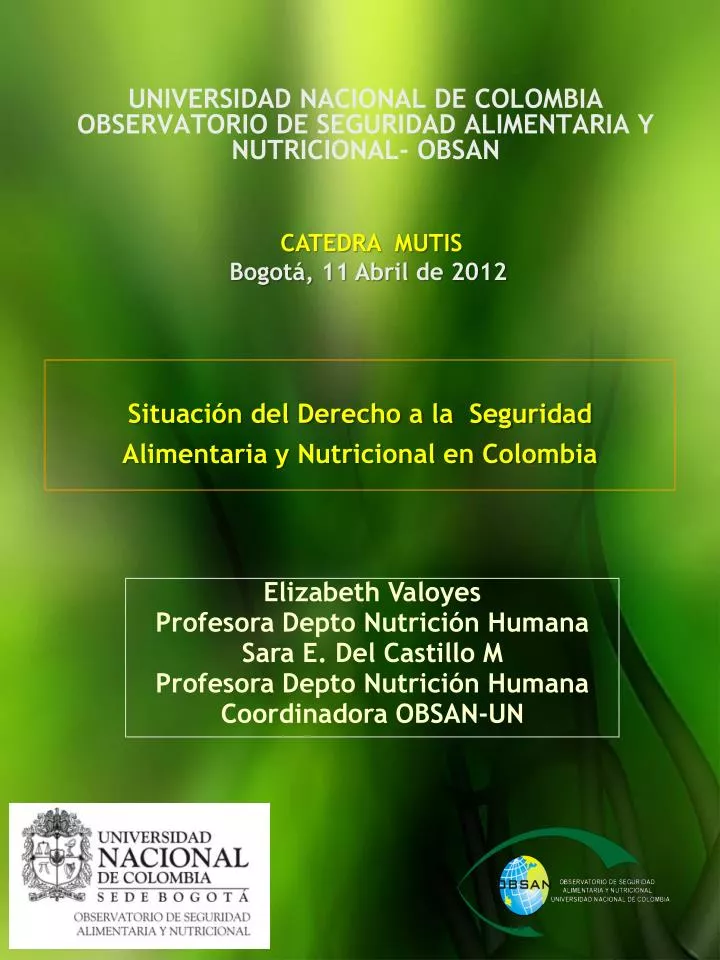 universidad nacional de colombia observatorio de seguridad alimentaria y nutricional obsan