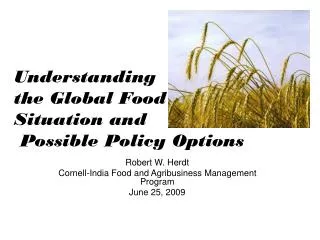 Understanding the Global Food Situation and Possible Policy Options