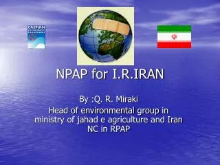 NPAP for I.R.IRAN