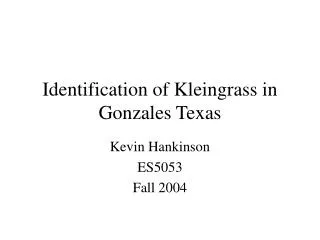 Identification of Kleingrass in Gonzales Texas