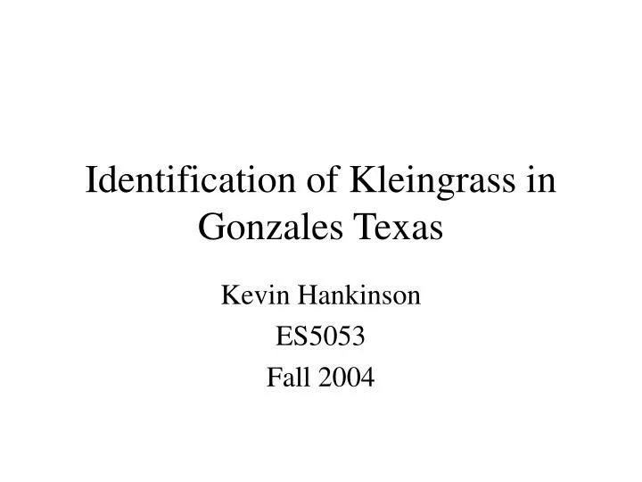 identification of kleingrass in gonzales texas