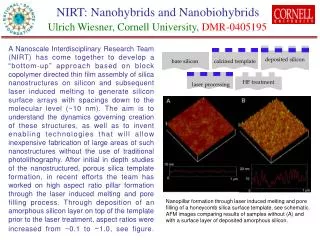 NIRT: Nanohybrids and Nanobiohybrids