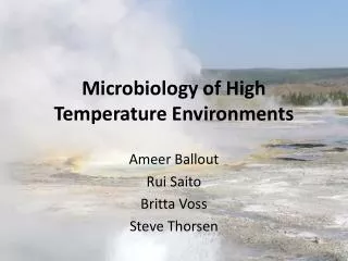 Microbiology of High Temperature Environments