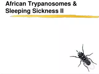African Trypanosomes &amp; Sleeping Sickness II