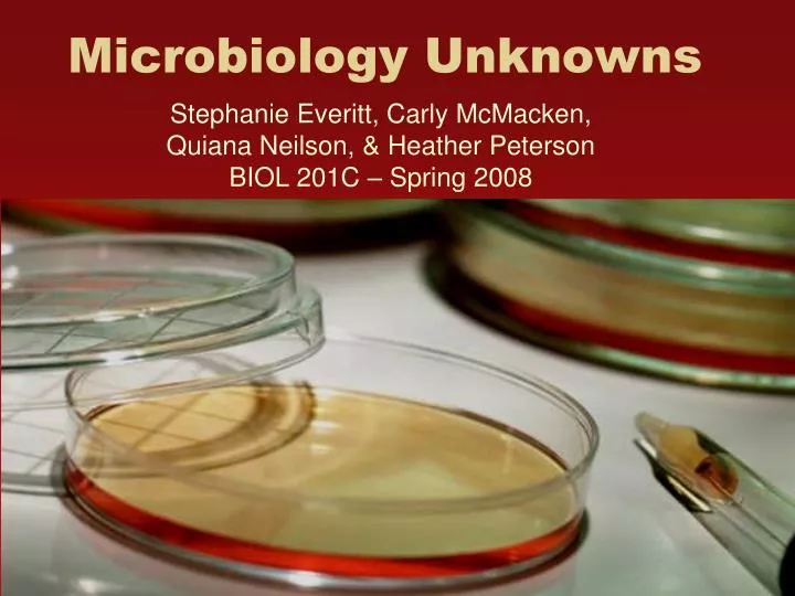 microbiology unknowns