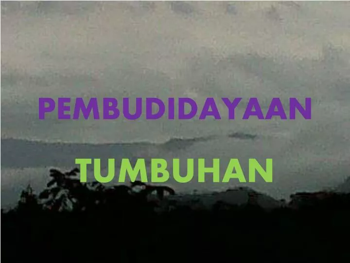 pembudidayaan