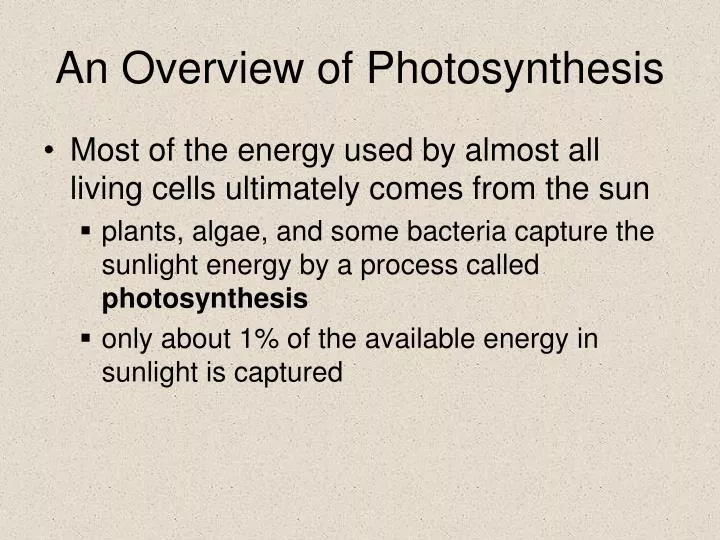 an overview of photosynthesis
