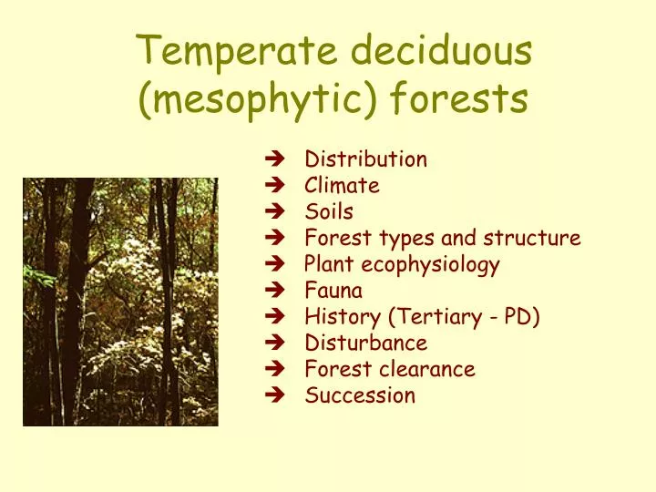temperate deciduous mesophytic forests
