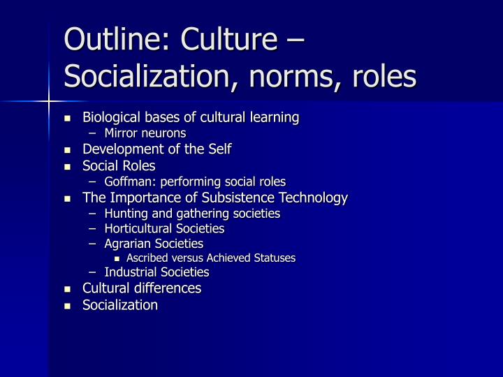 outline culture socialization norms roles