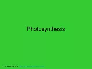 Photosynthesis