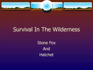Survival In The Wilderness
