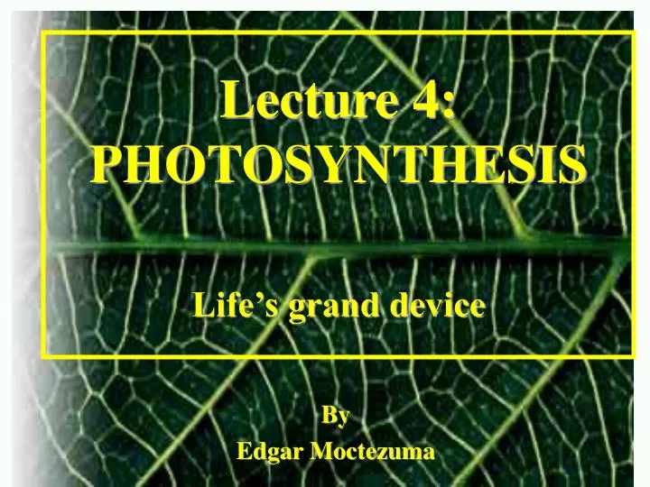 lecture 4 photosynthesis life s grand device